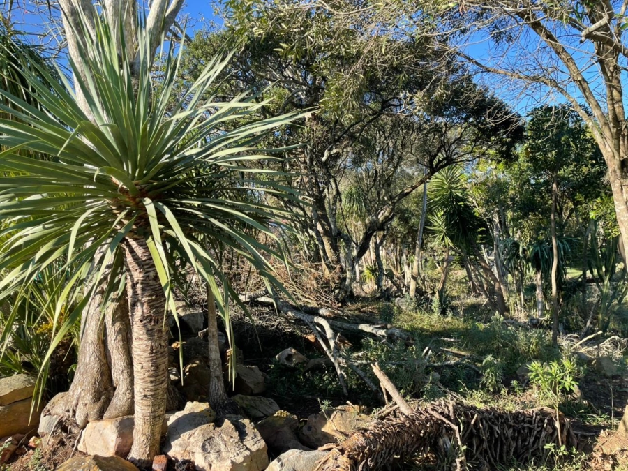 0 Bedroom Property for Sale in Bathurst Eastern Cape